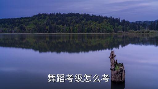 舞蹈考级怎么考