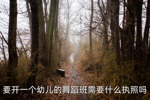 要开一个幼儿的舞蹈班需要什么执照吗