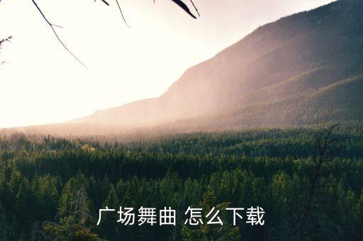 广场舞曲 怎么下载
