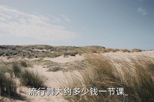流行舞大约多少钱一节课