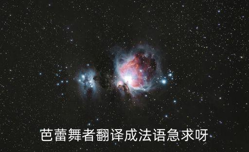 芭蕾舞者翻译成法语急求呀