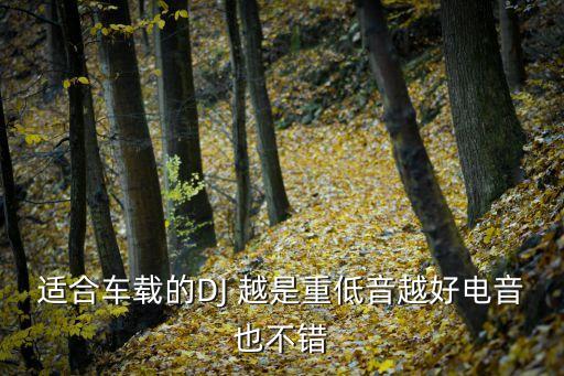 适合车载的DJ 越是重低音越好电音也不错