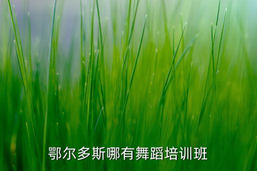 鄂尔多斯哪有舞蹈培训班