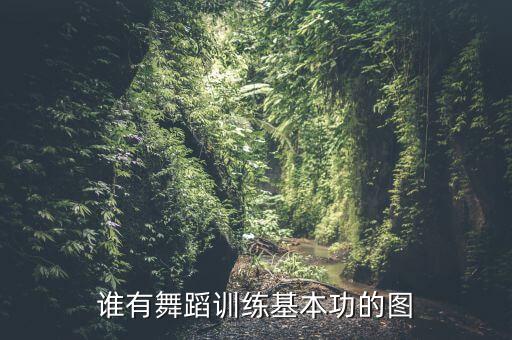 谁有舞蹈训练基本功的图