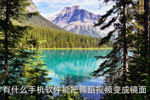 有什么手机软件能把舞蹈视频变成镜面