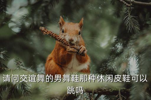 请问交谊舞的男舞鞋那种休闲皮鞋可以跳吗