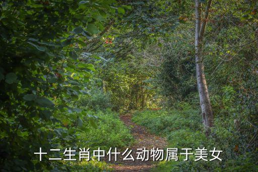十二生肖中什么动物属于美女