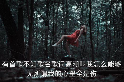 有首歌不知歌名歌词高潮叫我怎么能够无所谓我的心里全是伤