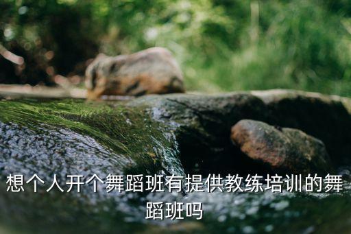 舞蹈教练班是什么意思，舞蹈教练班兴趣班