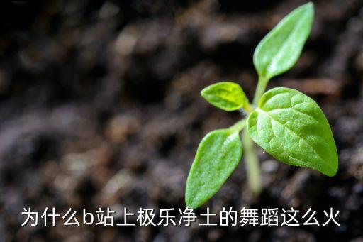 为什么b站上极乐净土的舞蹈这么火