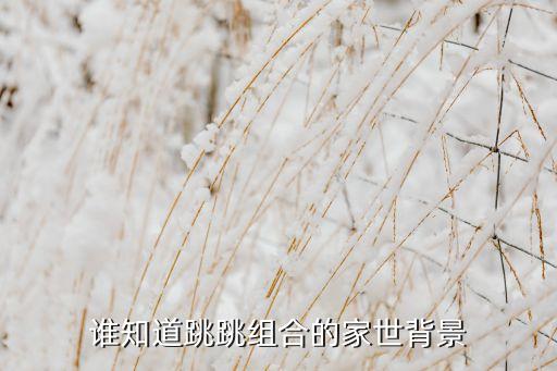 跳跃组合是什么，谁知道跳跳组合的家世背景