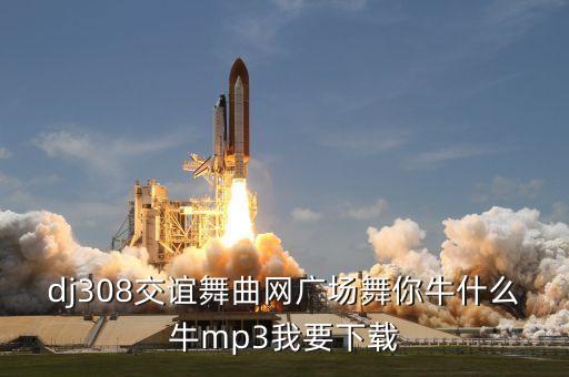 dj308交谊舞曲网广场舞你牛什么牛mp3我要下载