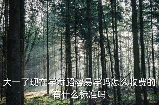 大一了现在学舞蹈容易学吗怎么收费的有什么标准吗