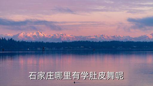 石家庄哪里有学肚皮舞呢