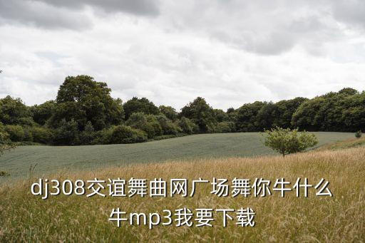 dj308交谊舞曲网广场舞你牛什么牛mp3我要下载