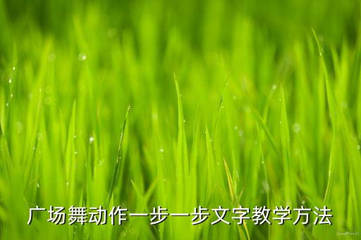 广场舞动作一步一步文字教学方法