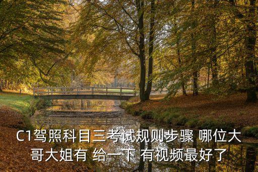 科目三三步踩基本步教学视频，C1驾照科目三考试规则步骤 哪位大哥大姐有 给一下 有视频最好了