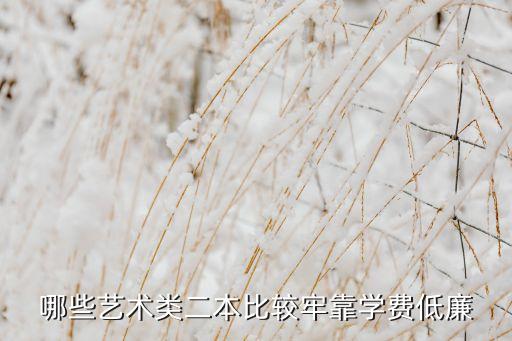哪些艺术类二本比较牢靠学费低廉