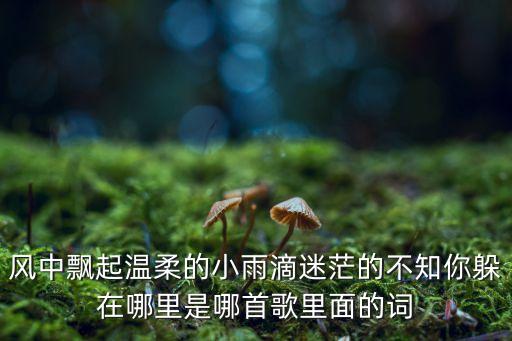 风中飘起温柔的小雨滴迷茫的不知你躲在哪里是哪首歌里面的词