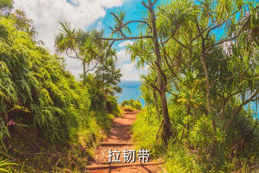 拉韧带