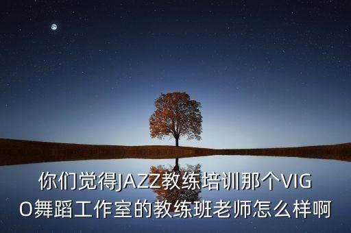 你们觉得JAZZ教练培训那个VIGO舞蹈工作室的教练班老师怎么样啊