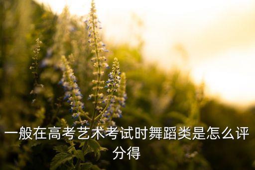 一般在高考艺术考试时舞蹈类是怎么评分得