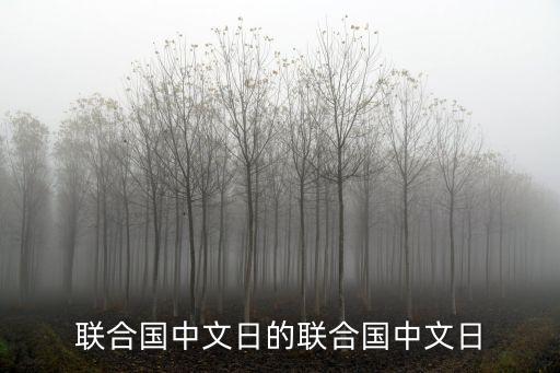 联合国中文日的联合国中文日