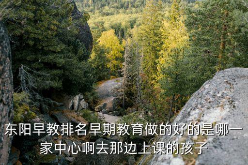 东阳早教排名早期教育做的好的是哪一家中心啊去那边上课的孩子