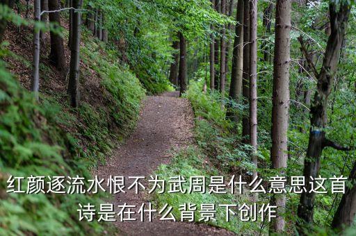 红颜逐流水恨不为武周是什么意思这首诗是在什么背景下创作
