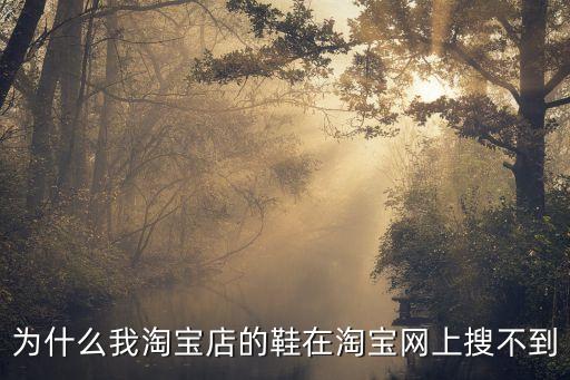 为什么我淘宝店的鞋在淘宝网上搜不到