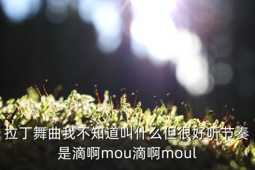 拉丁舞曲我不知道叫什么但很好听节奏是滴啊mou滴啊moul