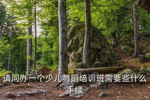 儿童舞蹈培训学校需要的资质，请问办一个少儿舞蹈培训班需要些什么手续