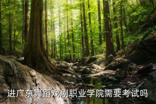 进广东舞蹈戏剧职业学院需要考试吗