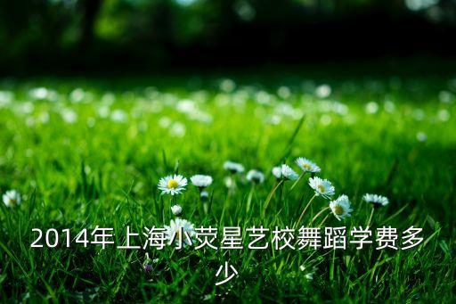 2014年上海小荧星艺校舞蹈学费多少