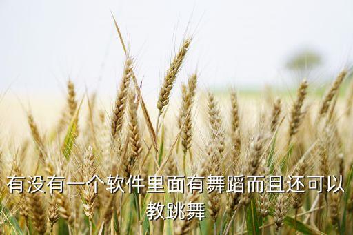 有没有一个软件里面有舞蹈而且还可以教跳舞