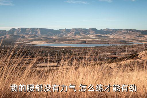 我的腰部没有力气 怎么练才能有劲