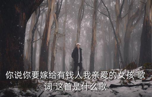 歌词我亲爱的女孩你怎么，你说你要嫁给有钱人我亲爱的女孩 歌词 这首是什么歌