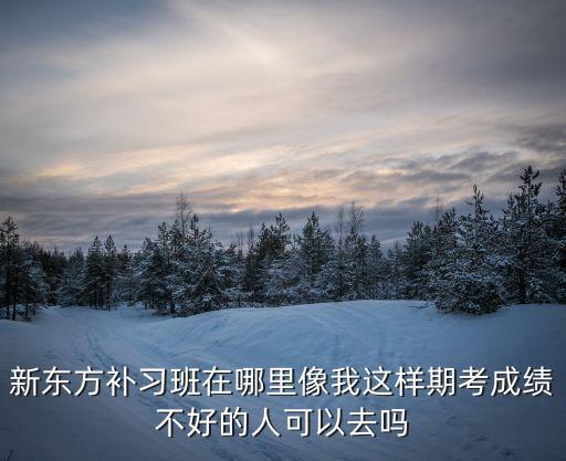 新东方补习班在哪里像我这样期考成绩不好的人可以去吗