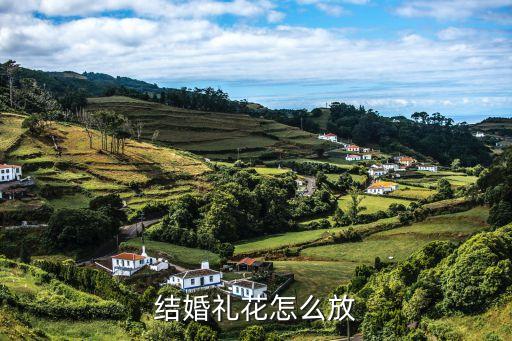 结婚花怎么挽视频教程，炫舞时代手机版怎么玩视频