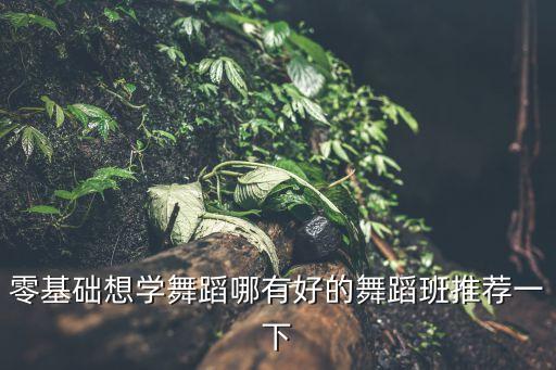 遂平县舞蹈班有哪些，驻马店市遂平县舞蹈学校