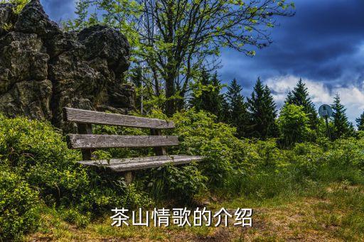 茶山情歌写的什么意思，茶山情歌的串词怎么写