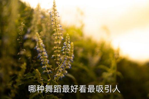 哪种舞蹈最好看最吸引人