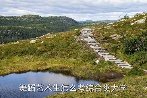 舞蹈艺术生怎么考综合类大学