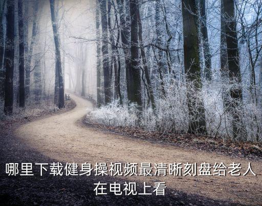 哪里下载健身操视频最清晰刻盘给老人在电视上看