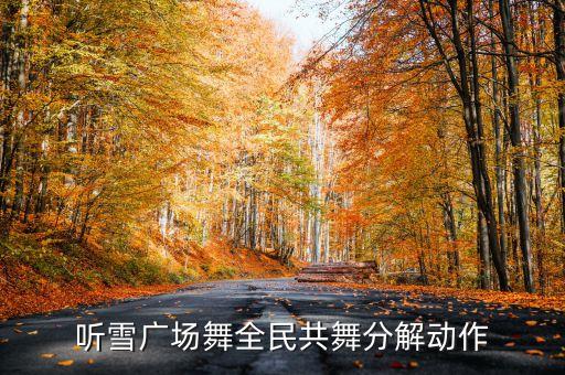听雪广场舞全民共舞分解动作