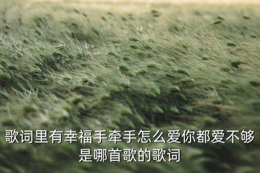 歌词里有幸福手牵手怎么爱你都爱不够是哪首歌的歌词