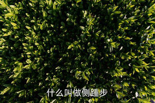 什么叫做侧踵步