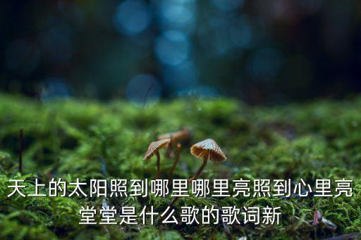 歌曲月亮里的阿妹，这首歌是什么名字视频里的