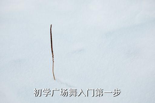 初学广场舞入门第一步