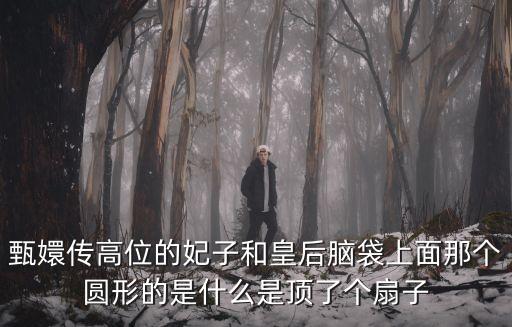 甄嬛传高位的妃子和皇后脑袋上面那个圆形的是什么是顶了个扇子